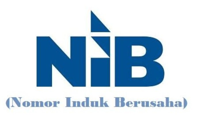 Business Identification Number (NIB) legality